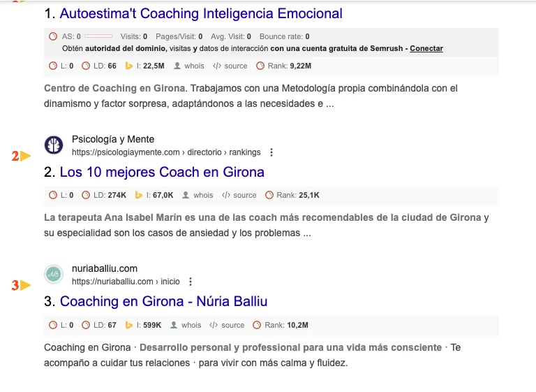 Caso de éxito Seo para coaches