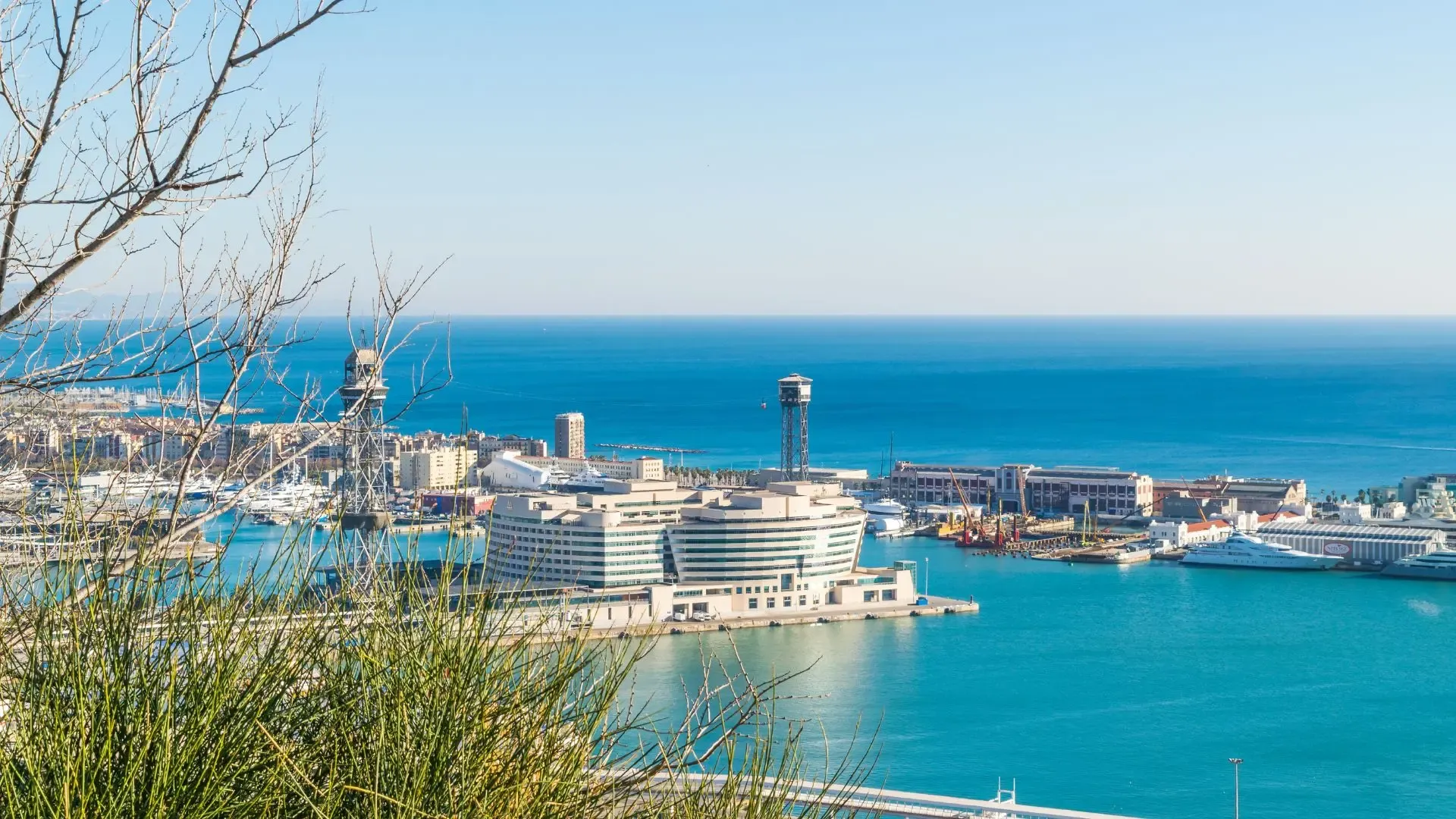 consultor seo málaga